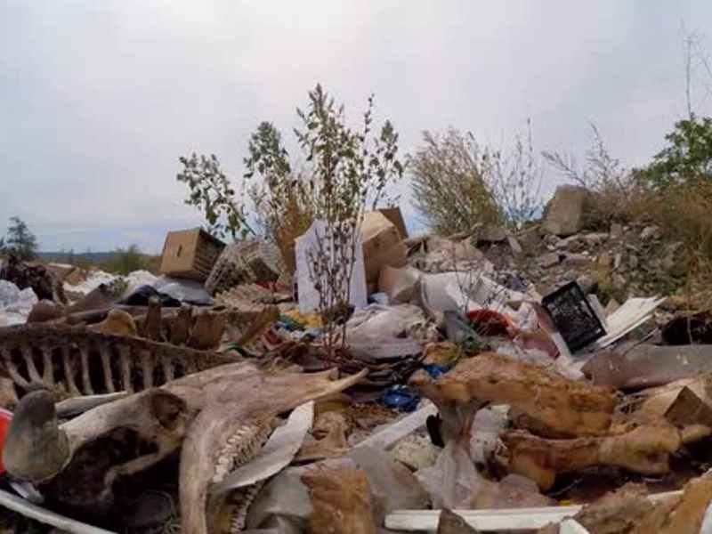 The Anthropocene: Humanity’s End?